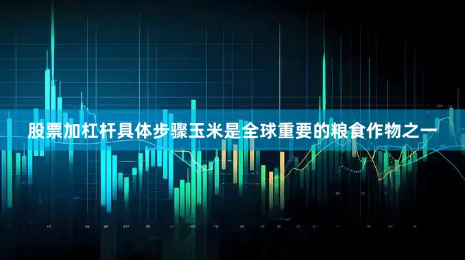 股票加杠杆具体步骤玉米是全球重要的粮食作物之一